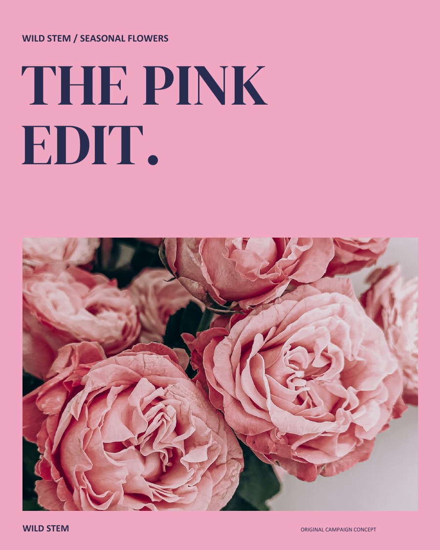 THE PINK EDIT.
