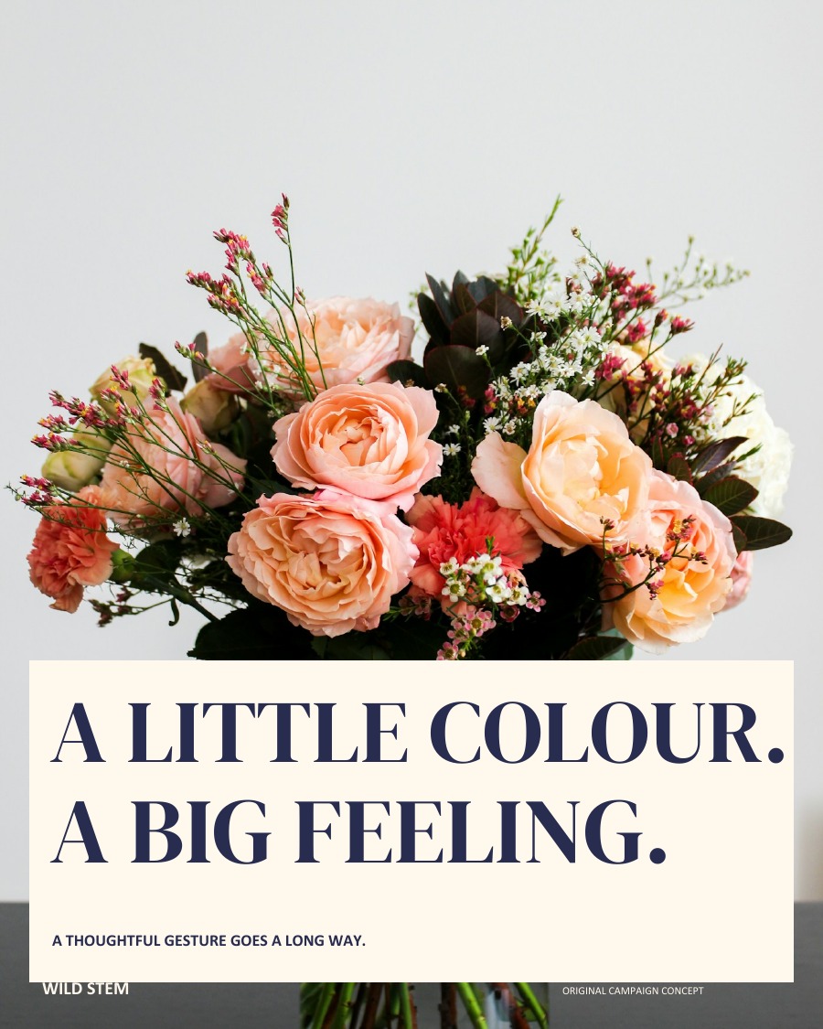 A LITTLE COLOUR. A BIG FEELING.